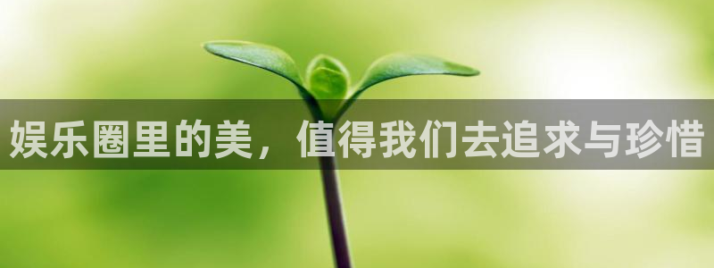 摩登7官网