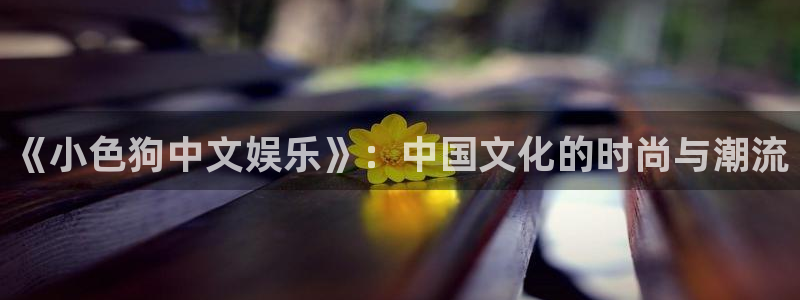摩登7