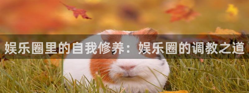 摩登7官网