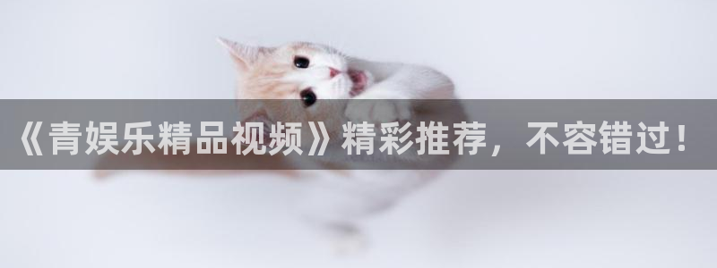 摩登7 lite注册