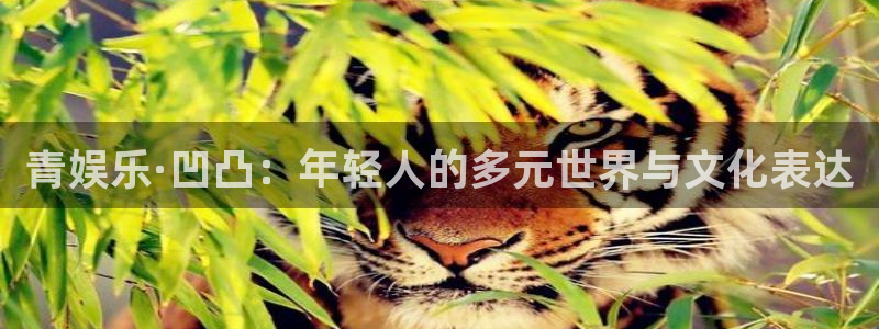 摩登7