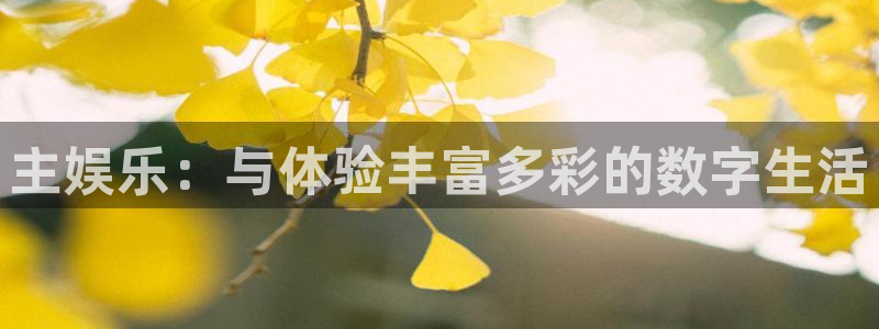 摩登7 lite注册