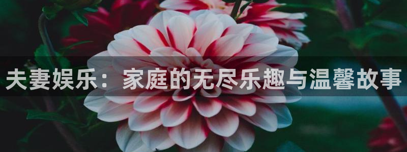 摩登7登录注册